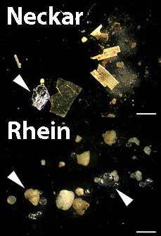 Mikroplastik
